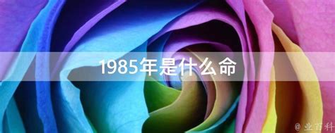 1985年什么命|1985年出生是什么命运？什么五行？